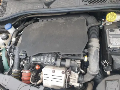 C4 Cactus